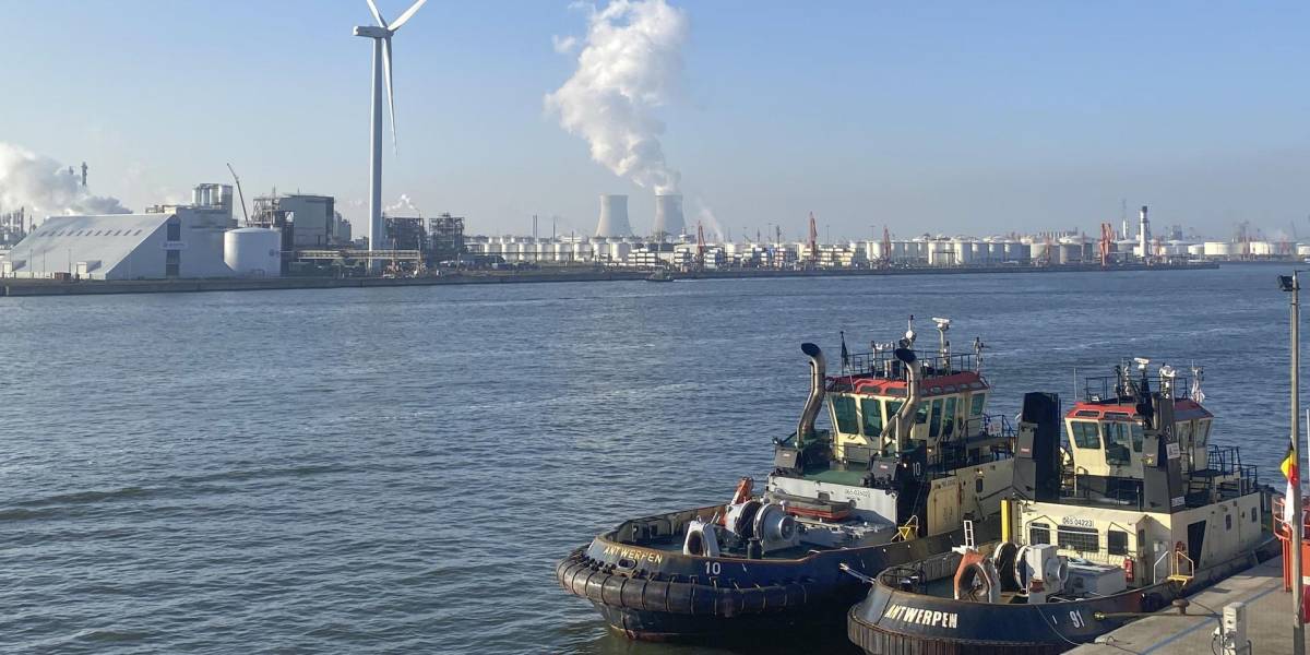 La mayor parte de cocaína que llega al puerto de Amberes, en Belgica, procede de Ecuador