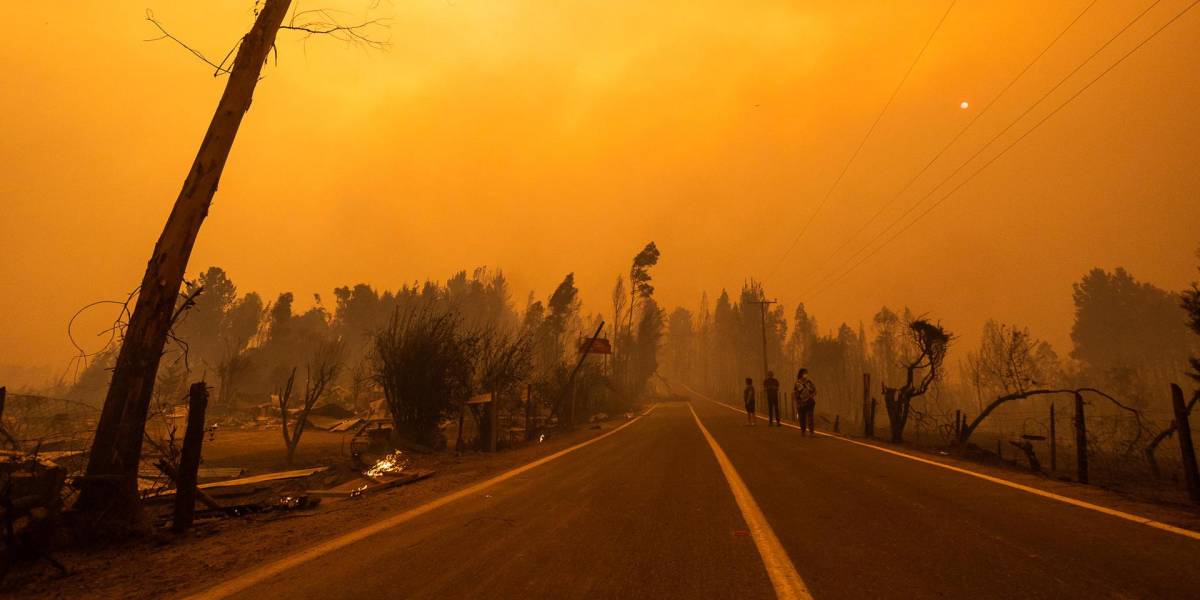 Fotografía de un sector incendiado ayer, cerca a la ciudad de Santa Juana (Chile).
