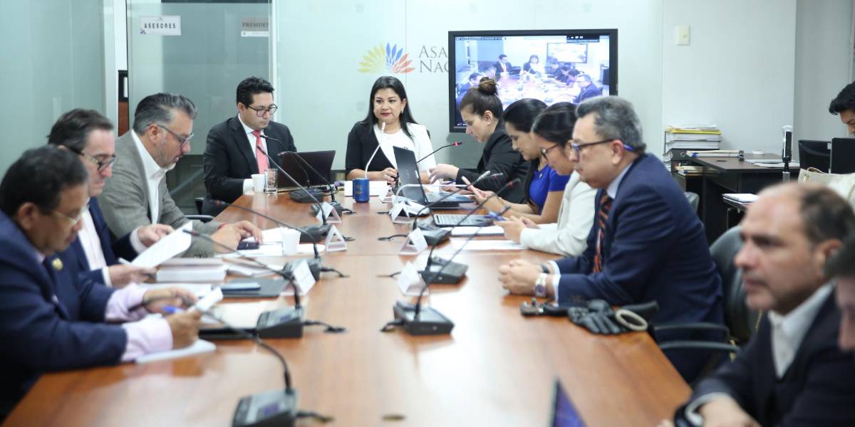 ¿Los militares deben colaborar con la Policía Nacional en tareas de seguridad ciudadana?