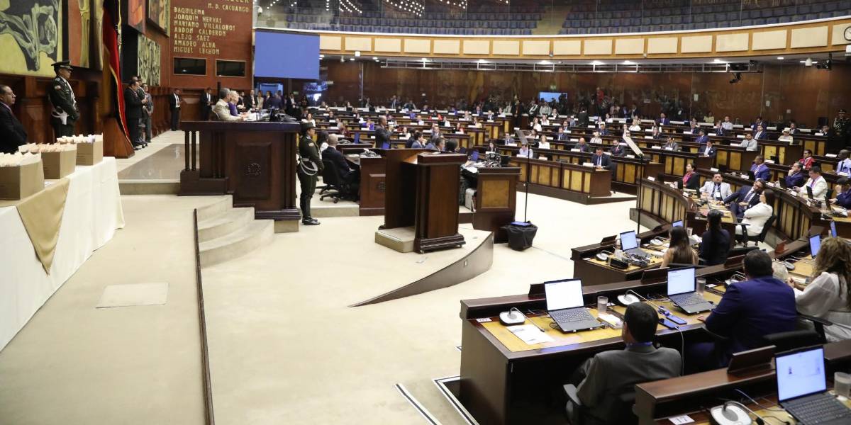 Gritos y desorden en la primera sesión del periodo parlamentario 2025-2029