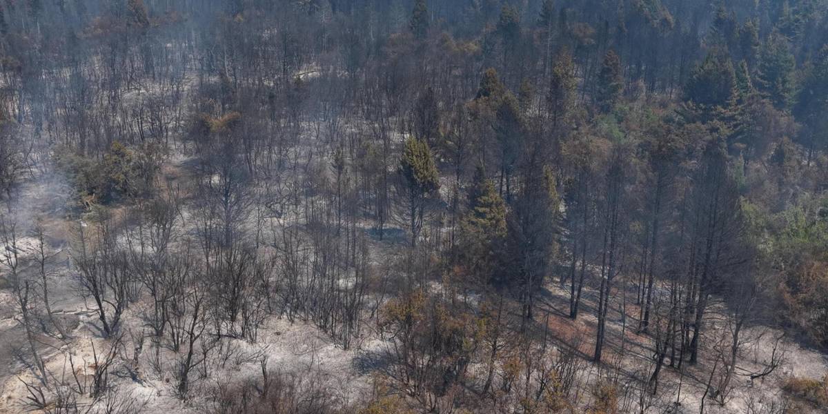Gobierno de Milei acusa de terrorismo a los responsables de los incendios en la Patagonia