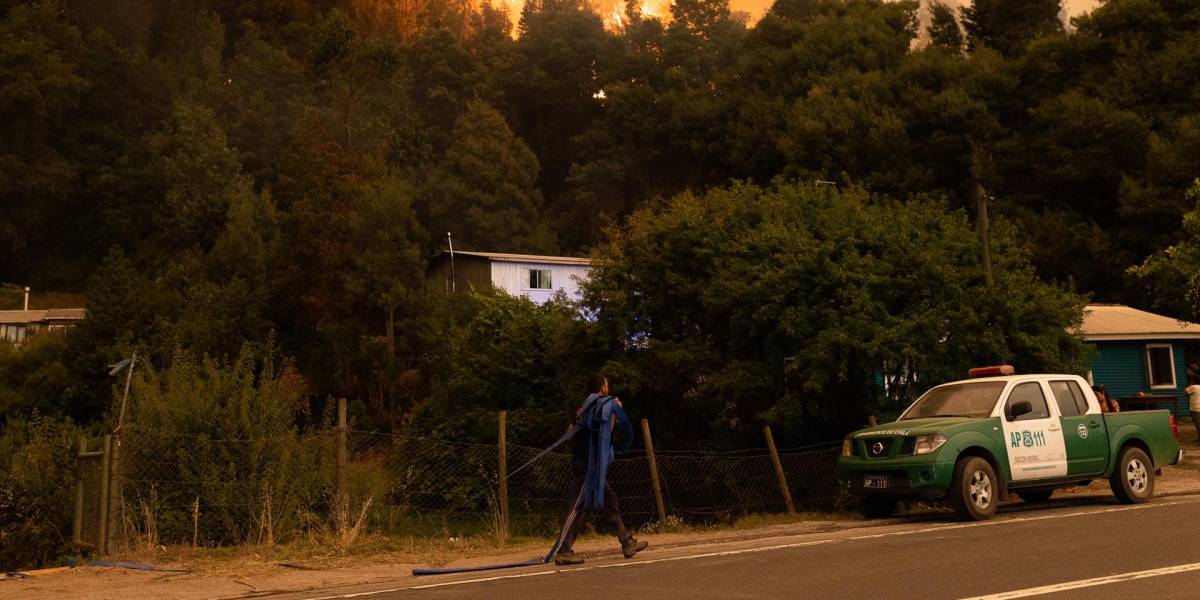 Chile pide ayuda internacional para combatir un gran incendio forestal