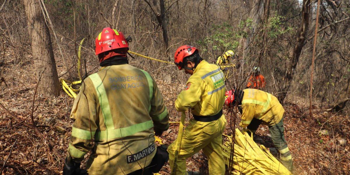 Guayaquil: incendio forestal en cerro Azul se combate con 12 unidades de los bomberos
