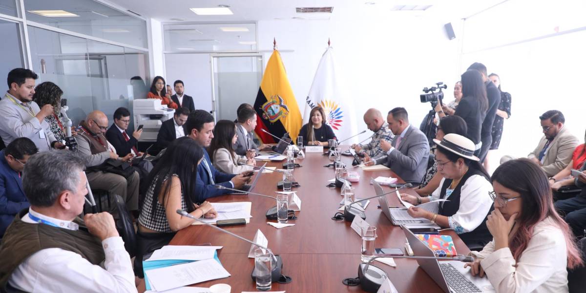 Asamblea Nacional: a dos proyectos de ley se dará prioridad en la Comisión de Seguridad Integral