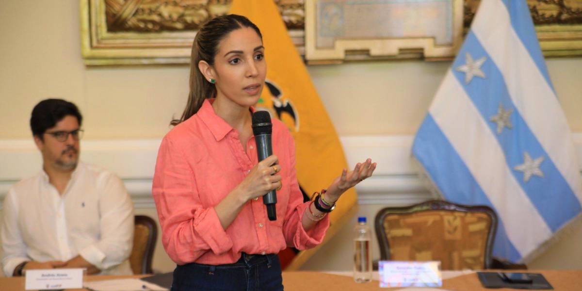 La ministra de Comercio Exterior se reunirá con Blinken en EE.UU. y buscará apoyos a Ley IDEA