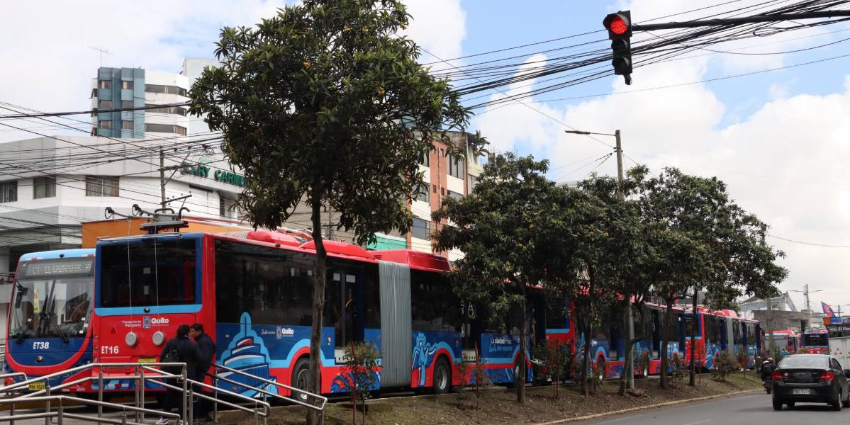 Pasajeros de un trole eléctrico tuvieron que bajarse y subir a otro por un incidente