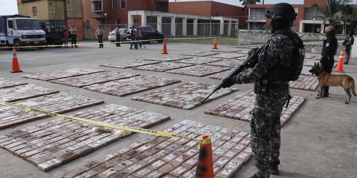 Bélgica, Países Bajos y España, los tres principales destinos de la droga que sale de Ecuador