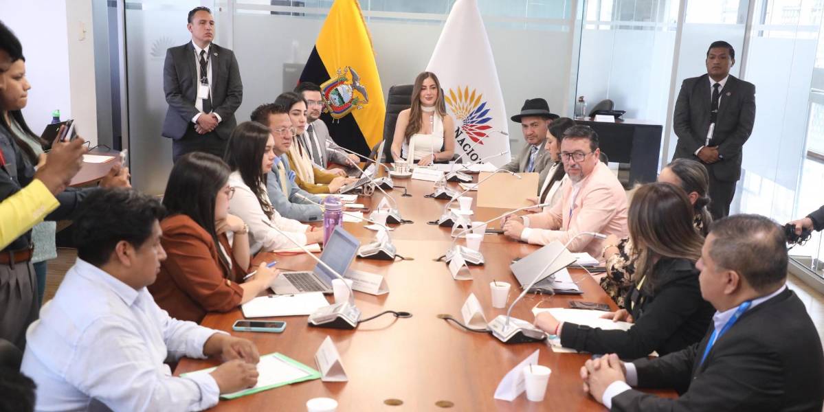 El Proyecto de Reforma a la Ley de Movilidad Humana plantea sanciones migratorias