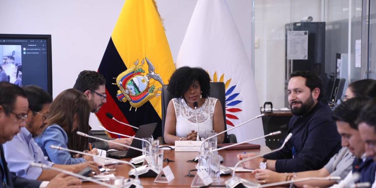 El informe para primer debate de las reformas a la Ley de Garantías Jurisdiccionales fue aprobado en la Asamblea