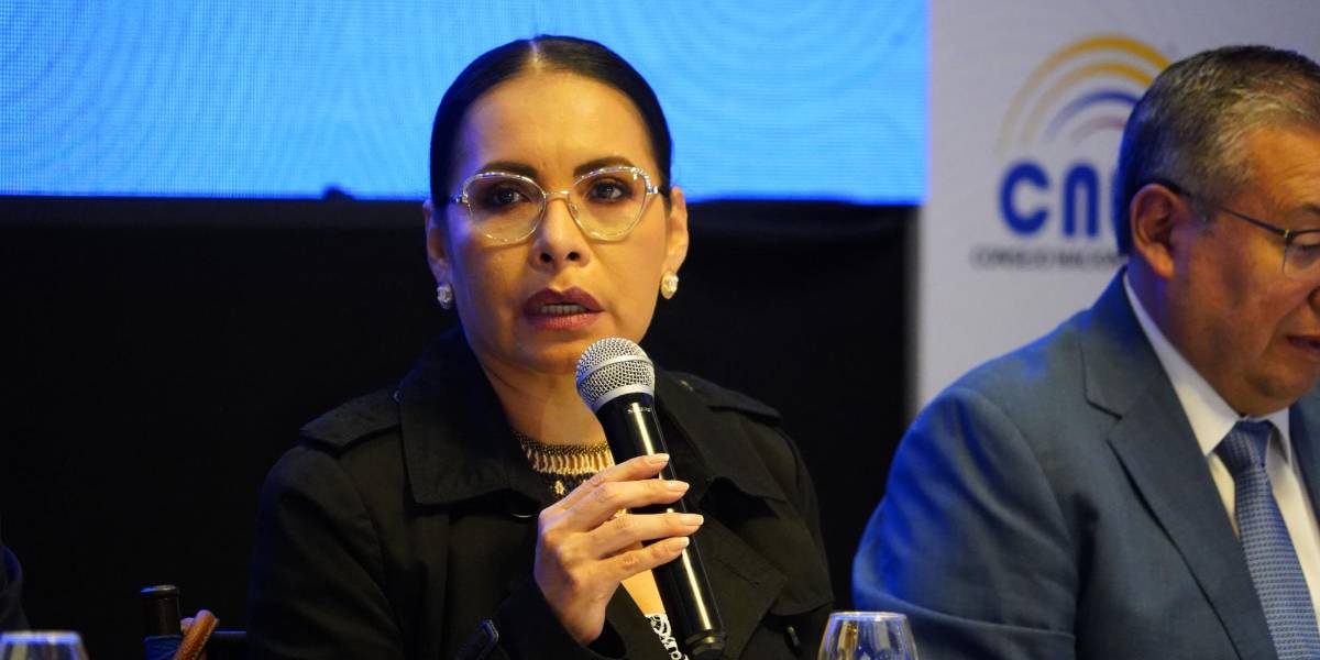 Diana Atamaint: En principio, el Gobierno garantiza que no habrá cortes de luz durante la consulta popular