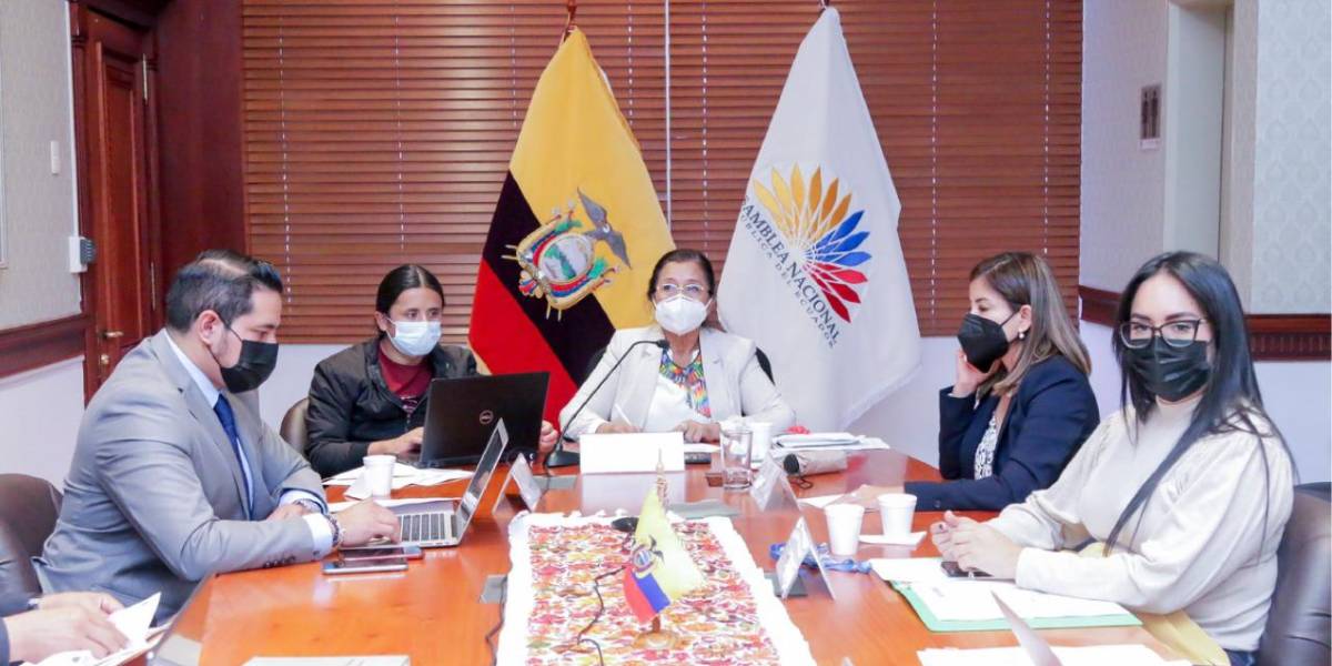 CAL califica la Proforma 2022 y el Proyecto de Ley Económico