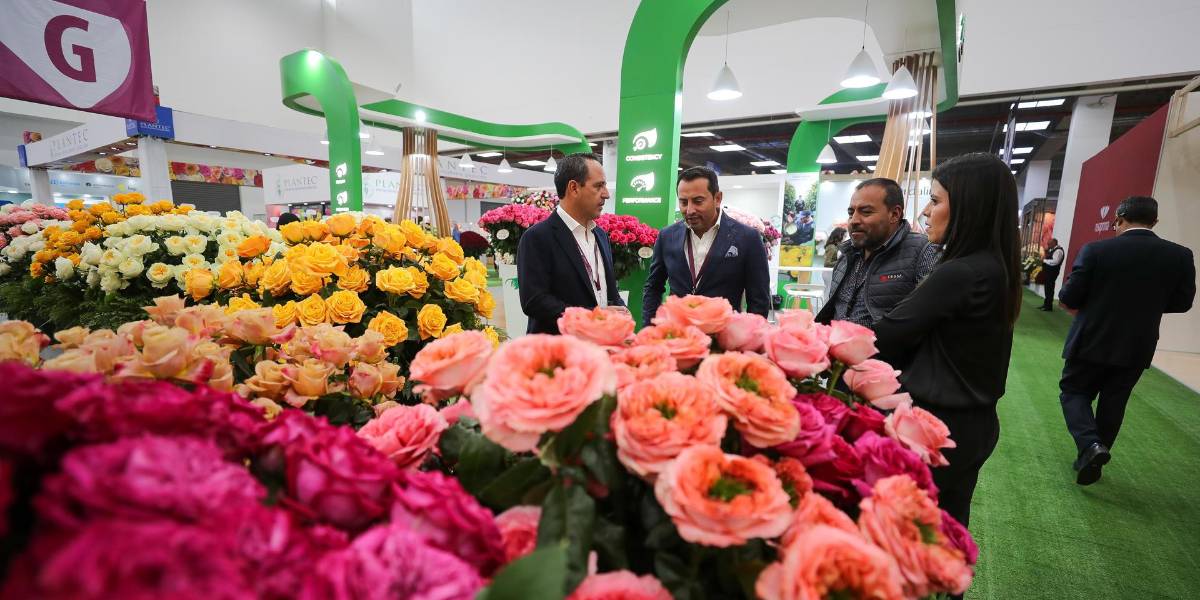 Las exportaciones crecieron un 11 % en el primer semestre de 2025