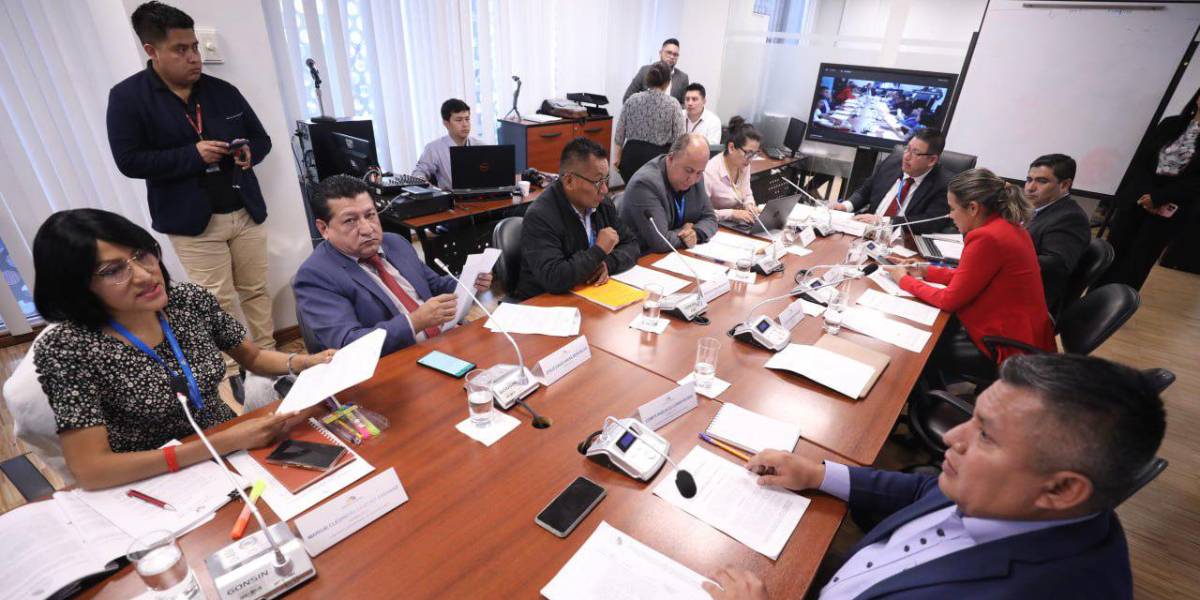 La Comisión de Biodiversidad se ratifica en el texto de la Ley Amazónica sobre la contratación de mano de obra local