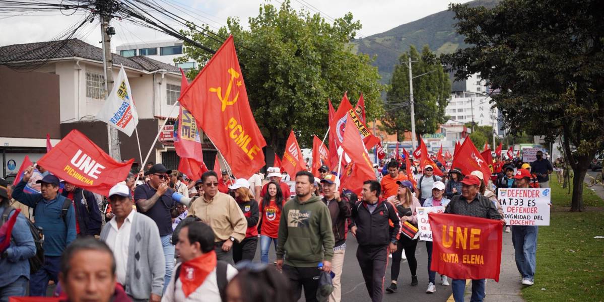 La UNE presenta una demanda de inconstitucionalidad a la Ley de Integridad Pública