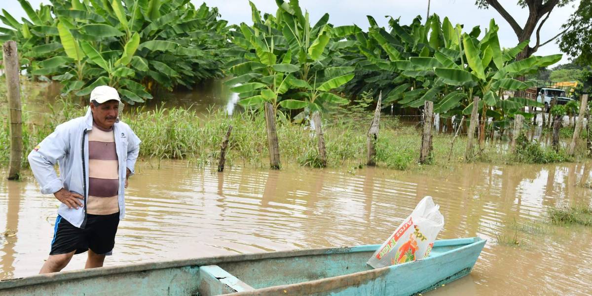 La extensión de los cultivos perdidos en Ecuador por el invierno equivale a 66 veces el Parque Samanes