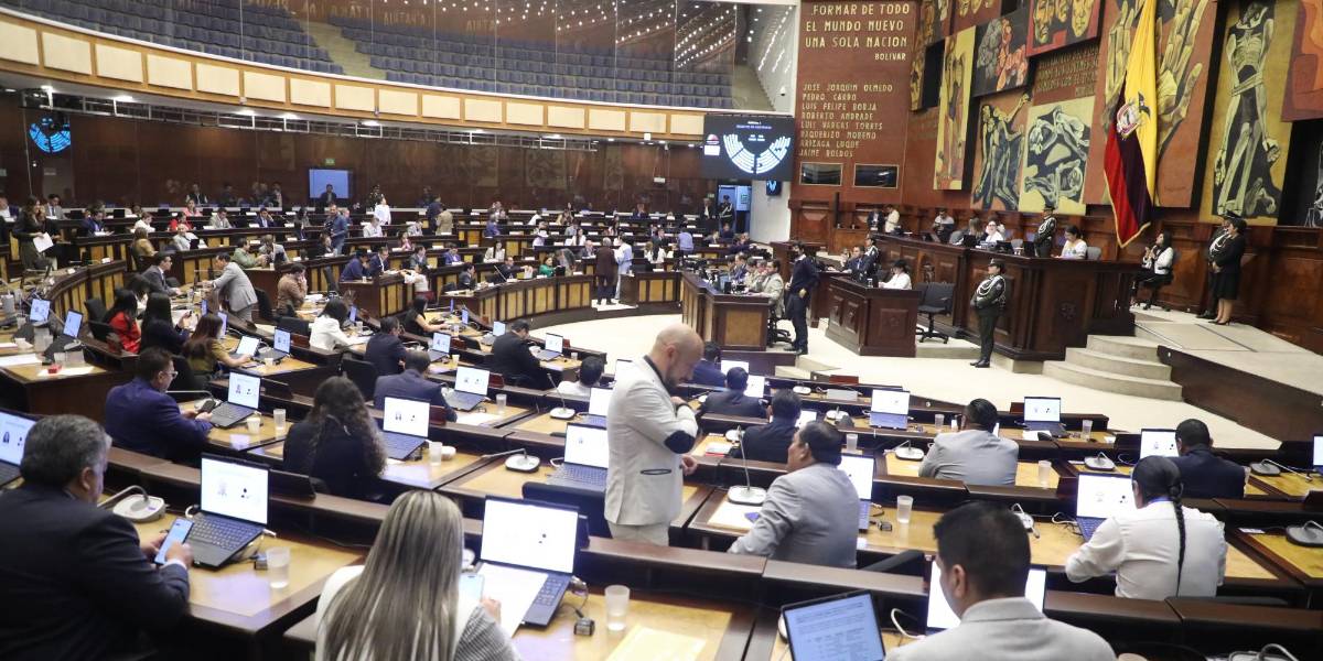 Asamblea Nacional: la Ley de Solidaridad para combatir a la economía de las mafias criminales pasó el primer debate
