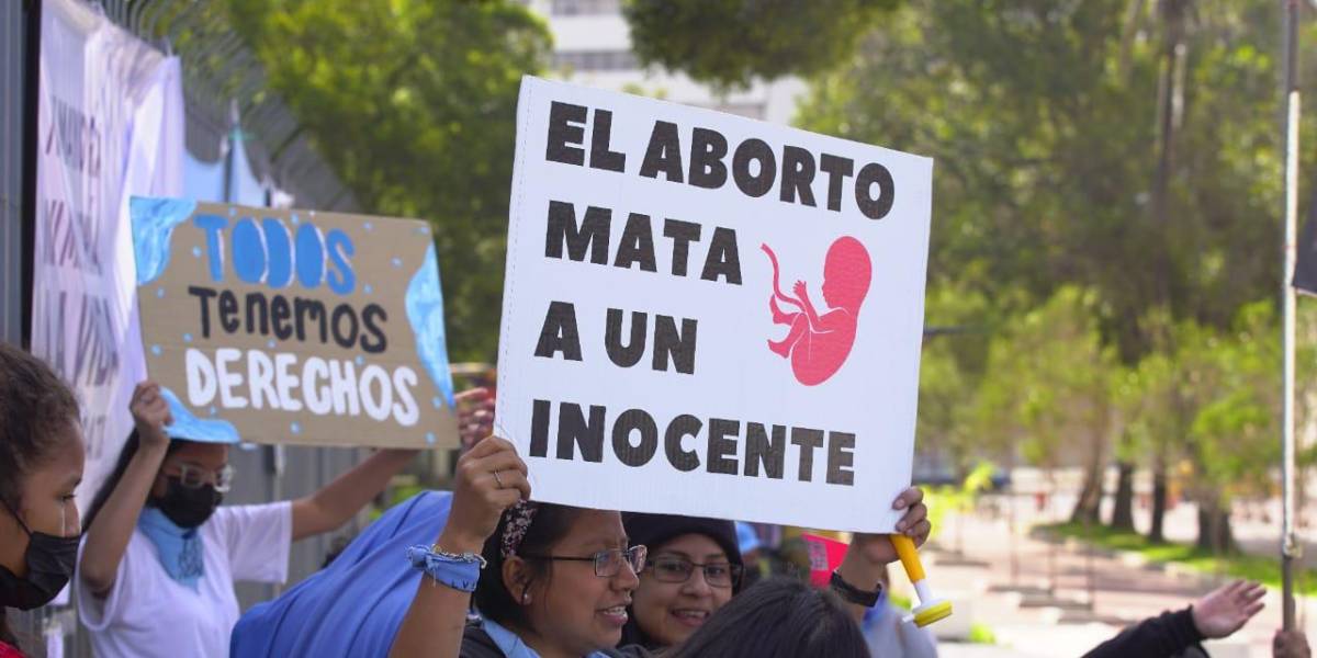 Grupos provida piden a Lasso que vete totalmente la ley del aborto en casos de violación