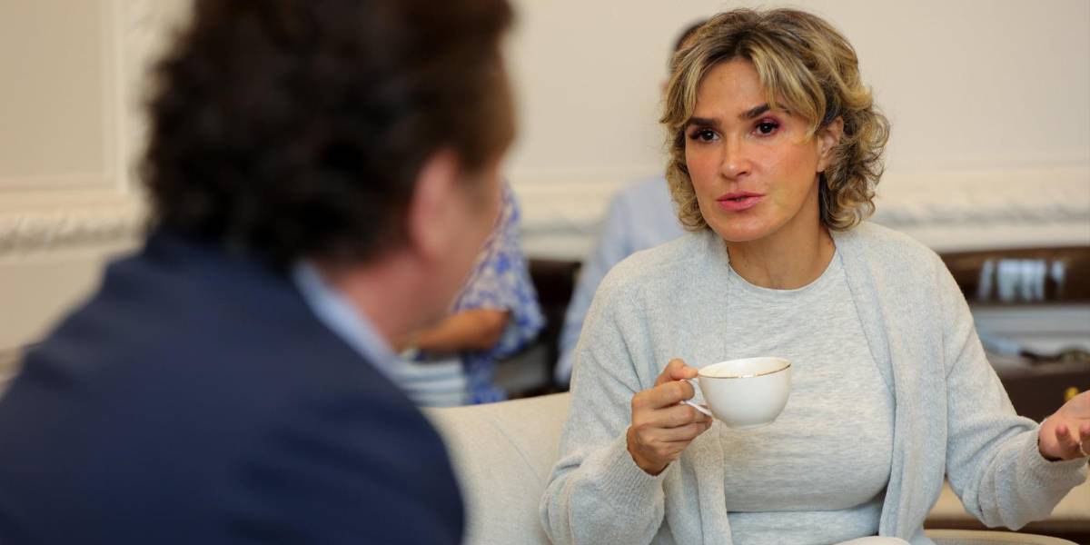 Viteri sí tiene competencia en la seguridad de Guayaquil