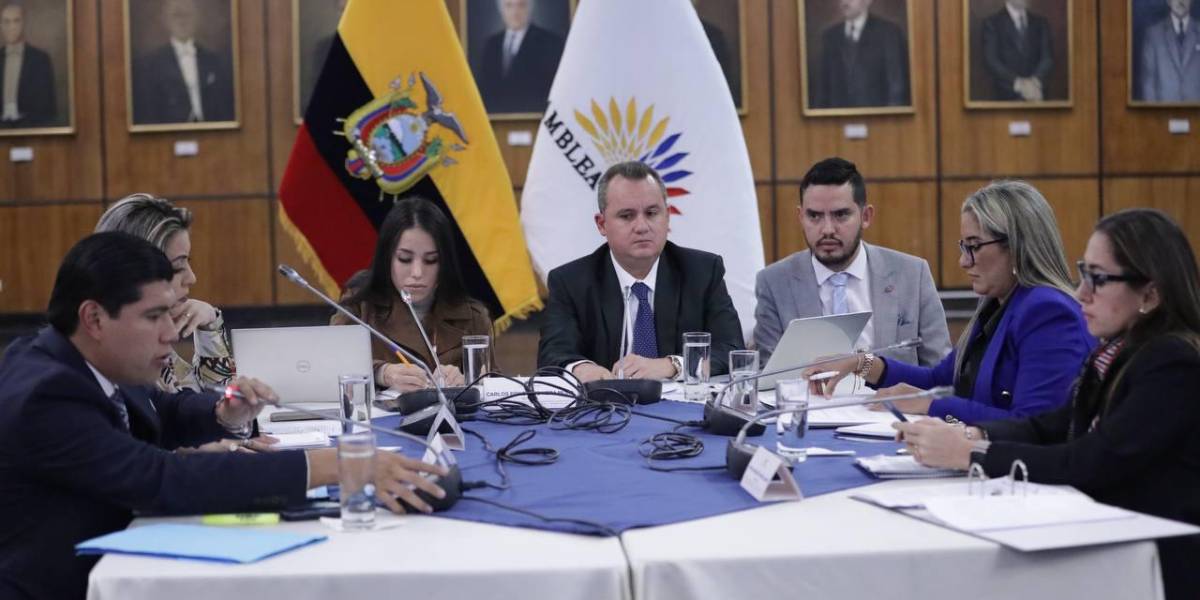 La Comisión Ocasional unifica los cinco proyectos de la consulta popular