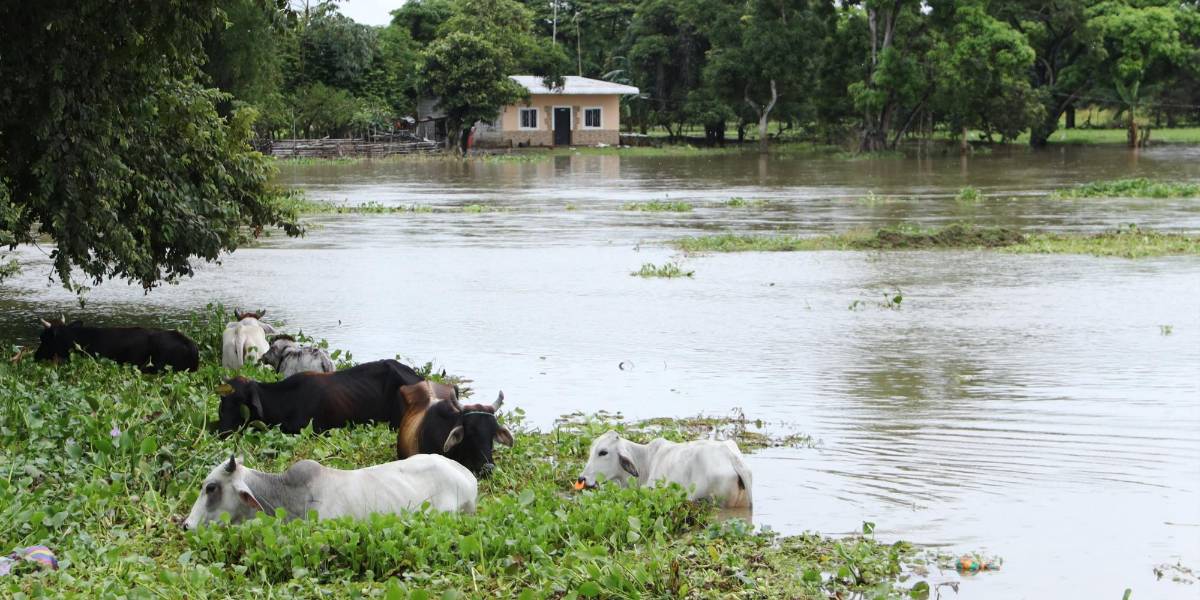 Seis ríos del Litoral están bajo vigilancia por posibles crecidas a causa de la lluvia