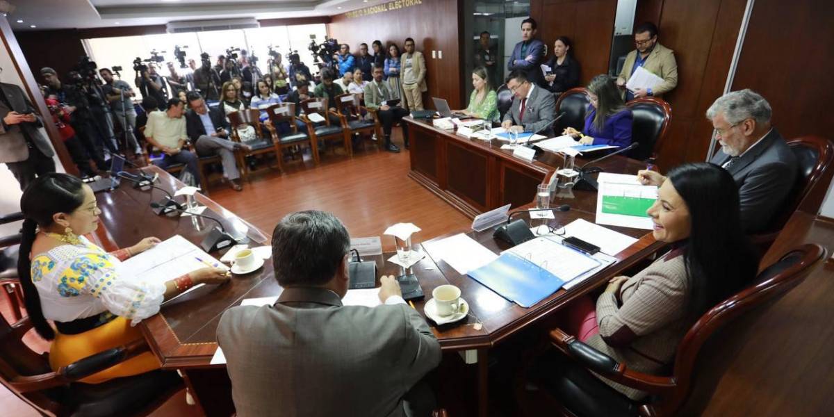 Resultados elecciones Ecuador 2023: se repetirán comicios para asambleístas por el exterior