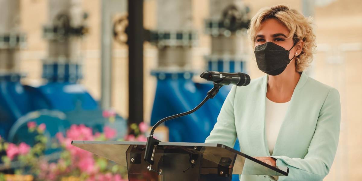 Defensoría del Pueblo critica el proyecto de ley planteado por Cynthia Viteri sobre el uso de armas