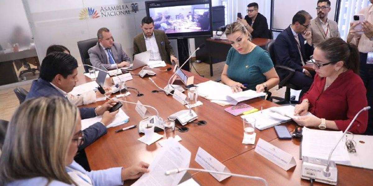 La Comisión que trata los proyectos de la consulta popular ya tiene cronograma de trabajo