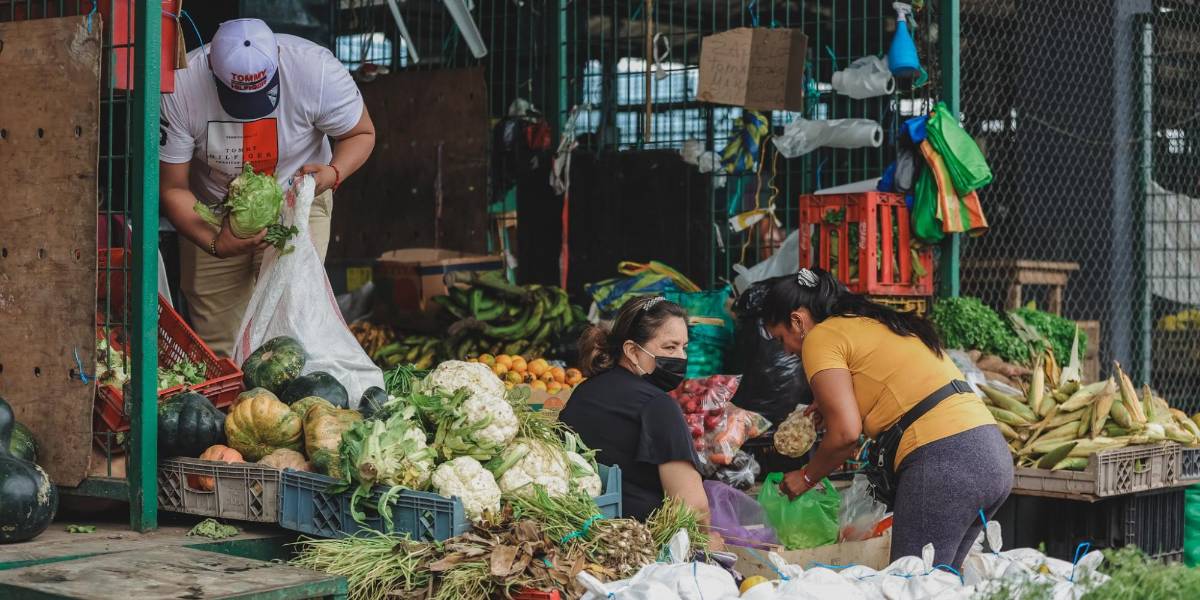 Autoridades coordinan posible habilitación de un corredor para abastecer de víveres a Guayaquil