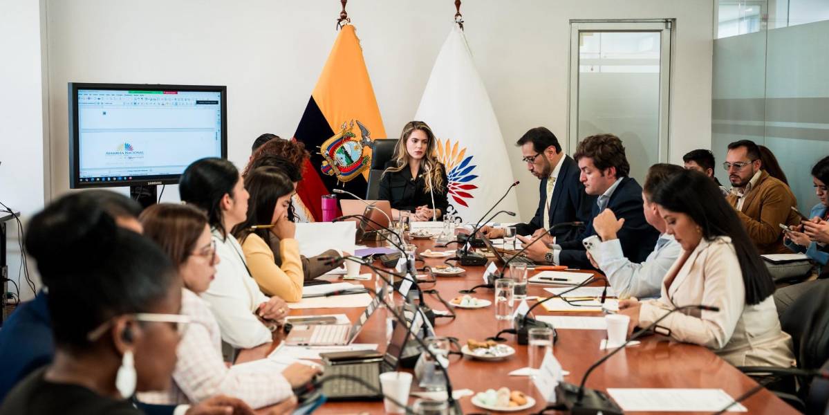 ¡Qué decepción esta reforma electoral!