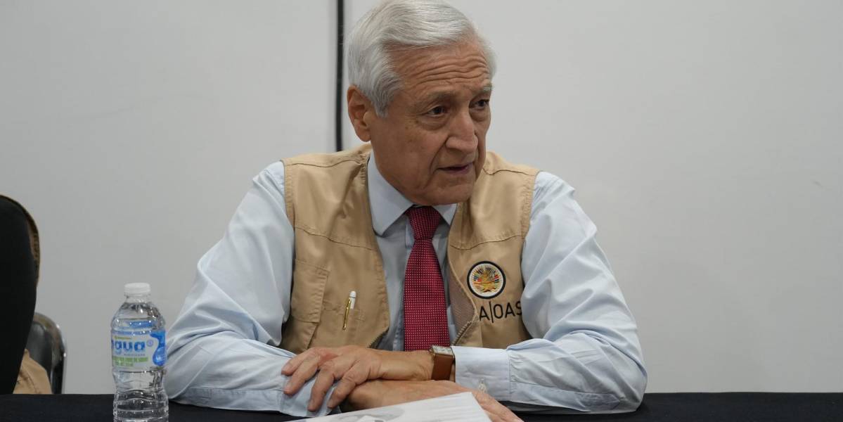 Elecciones Ecuador 2025 | La OEA elige al jefe de misión de observadores para los comicios de febrero
