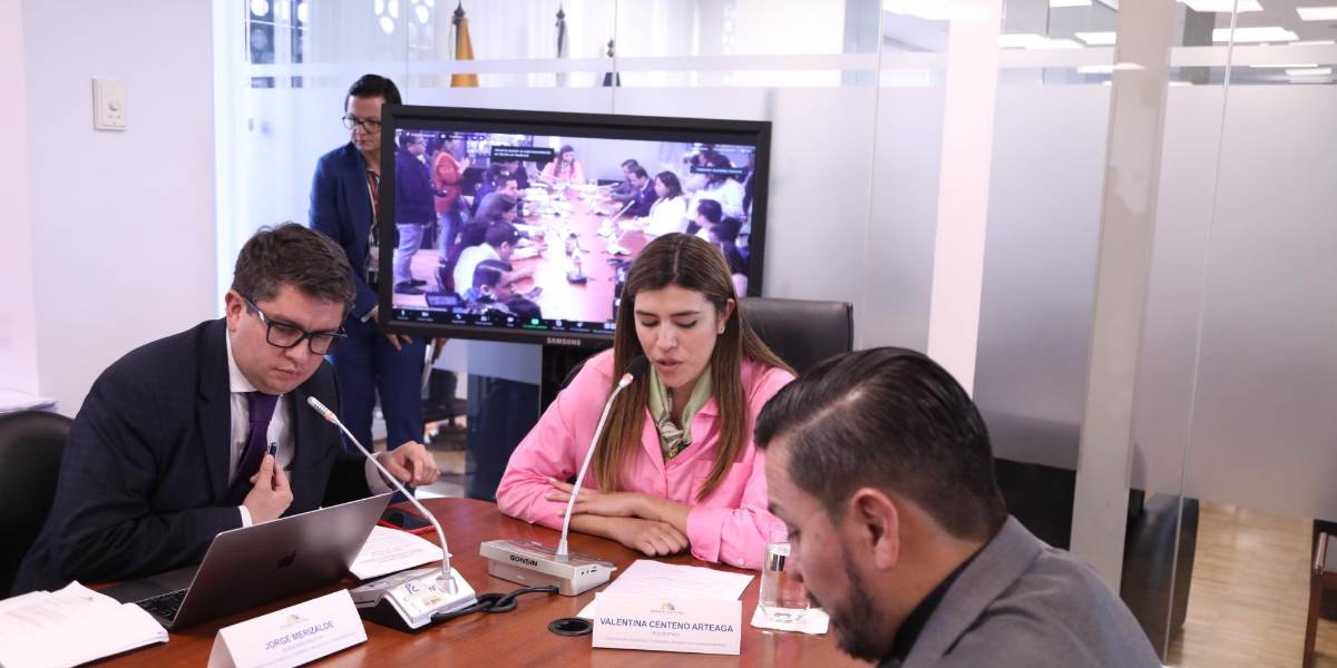 El informe para segundo debate de la Ley de Turismo se aprueba con inclusión de artículos sobre alivio financiero