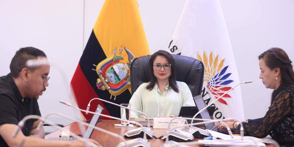 El juicio político en contra de Gonzalo Albán, del Consejo de Participación, entra en fase final