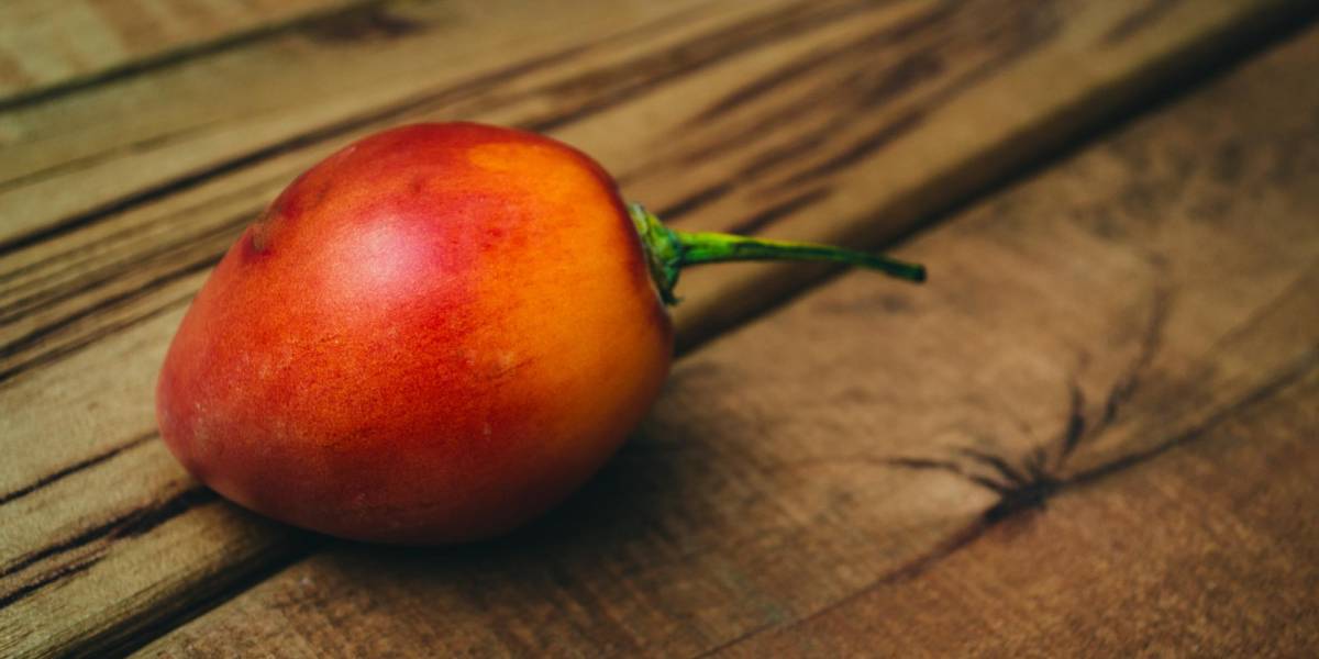 Los beneficios de consumir tomate de árbol en ayunas