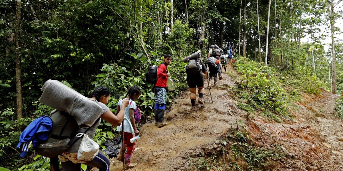 Los ecuatorianos son la segunda nacionalidad que más pasó por la selva del Darién durante 2023