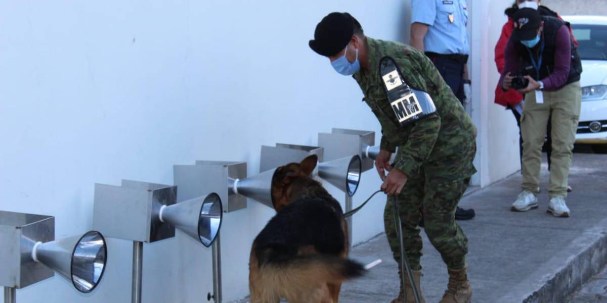 Ecuador adiestra a unidades caninas para detectar COVID-19 entre la gente