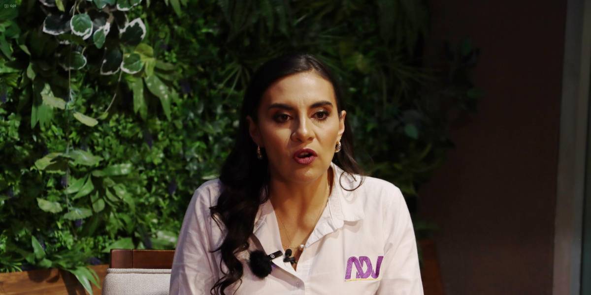 Juan Esteban Guarderas presentará denuncia electoral contra Verónica Abad