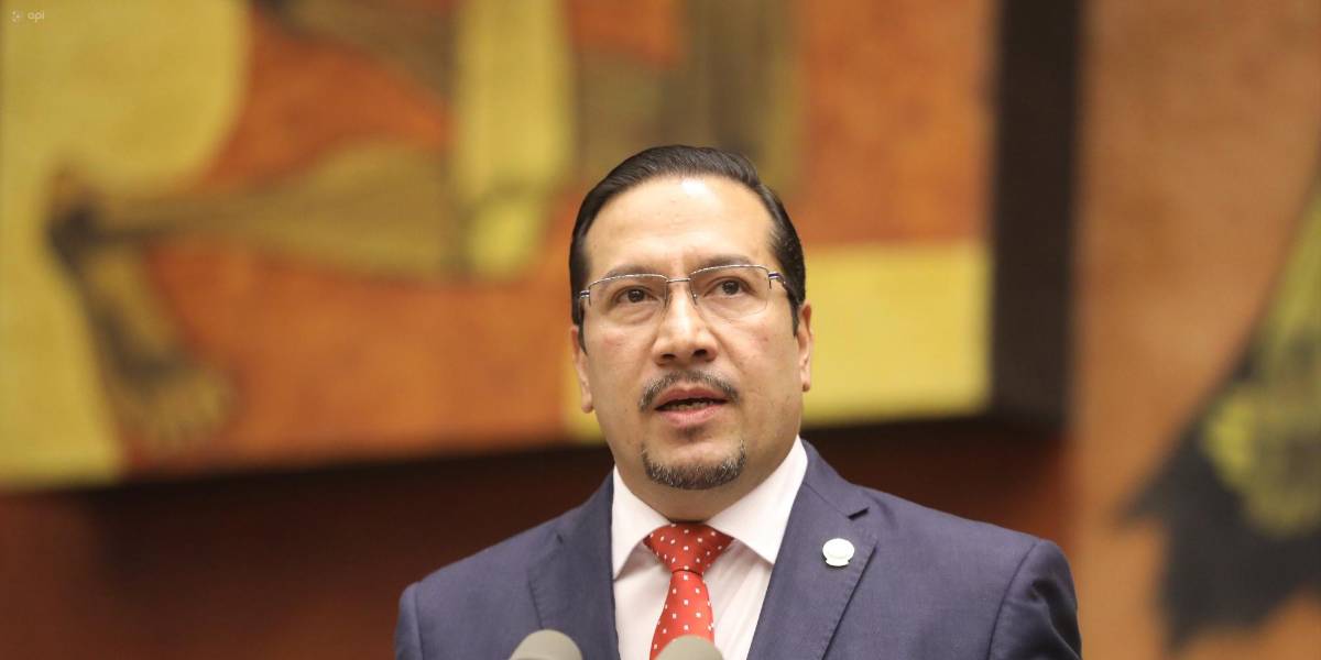 Consejeros de Participación Ciudadana presentan acción de protección contra la Asamblea para anular su destitución