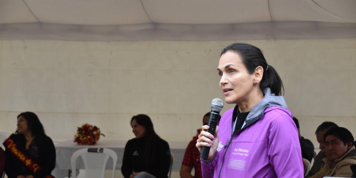 El Gobierno analizará mayores plazos para la devolución de dinero de trabajadores a CNEL