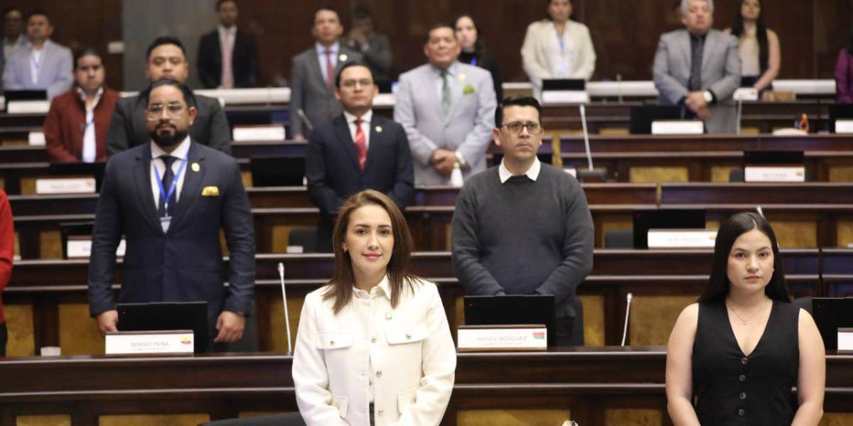 La Asamblea aprueba el proyecto para el Fortalecimiento de las Fuerzas Armadas y la Policía Nacional