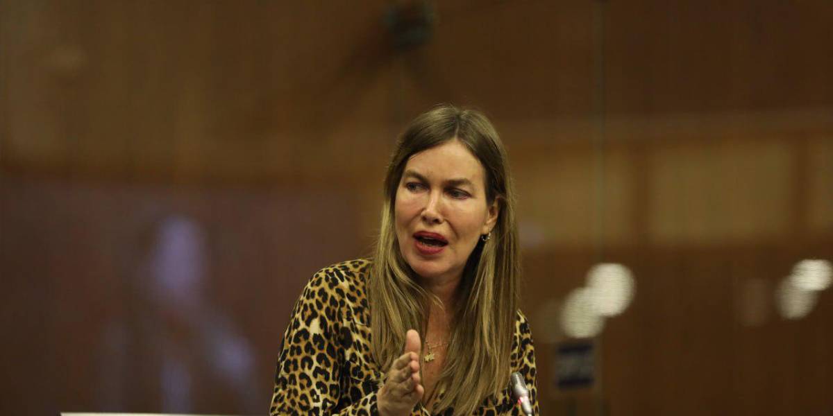 Geraldine Weber es la cuarta baja del PSC en la Asamblea en menos de un mes