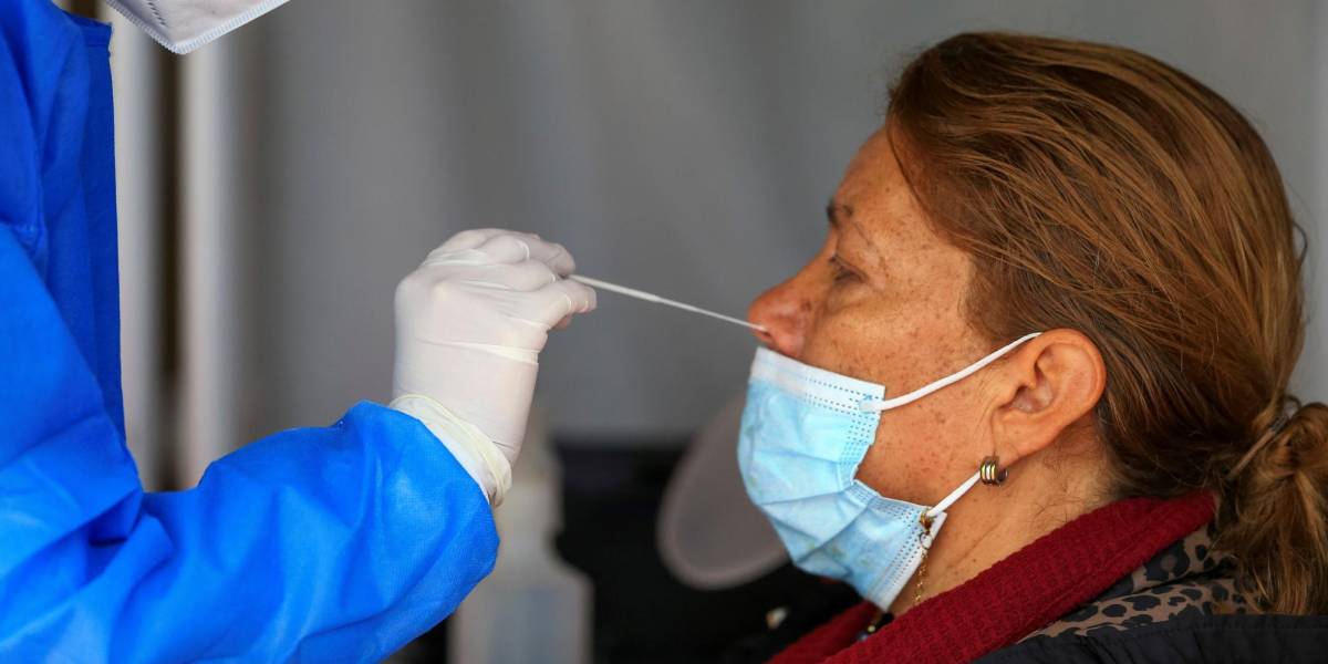 Ecuador registra 2.416 nuevos casos de COVID-19 y acumula 771.565 en pandemia