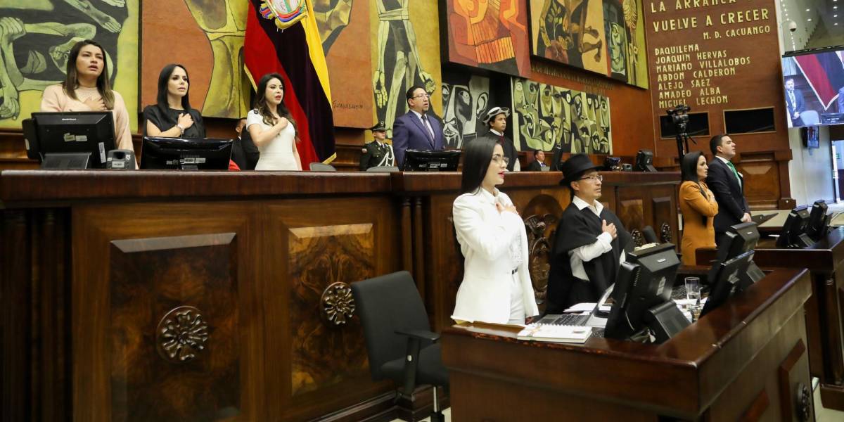 Elecciones Ecuador 2023: ¿los asambleístas cesados podrán reelegirse?