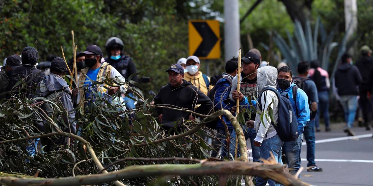 Tensa calma en jornada de manifestaciones sociales en Ecuador