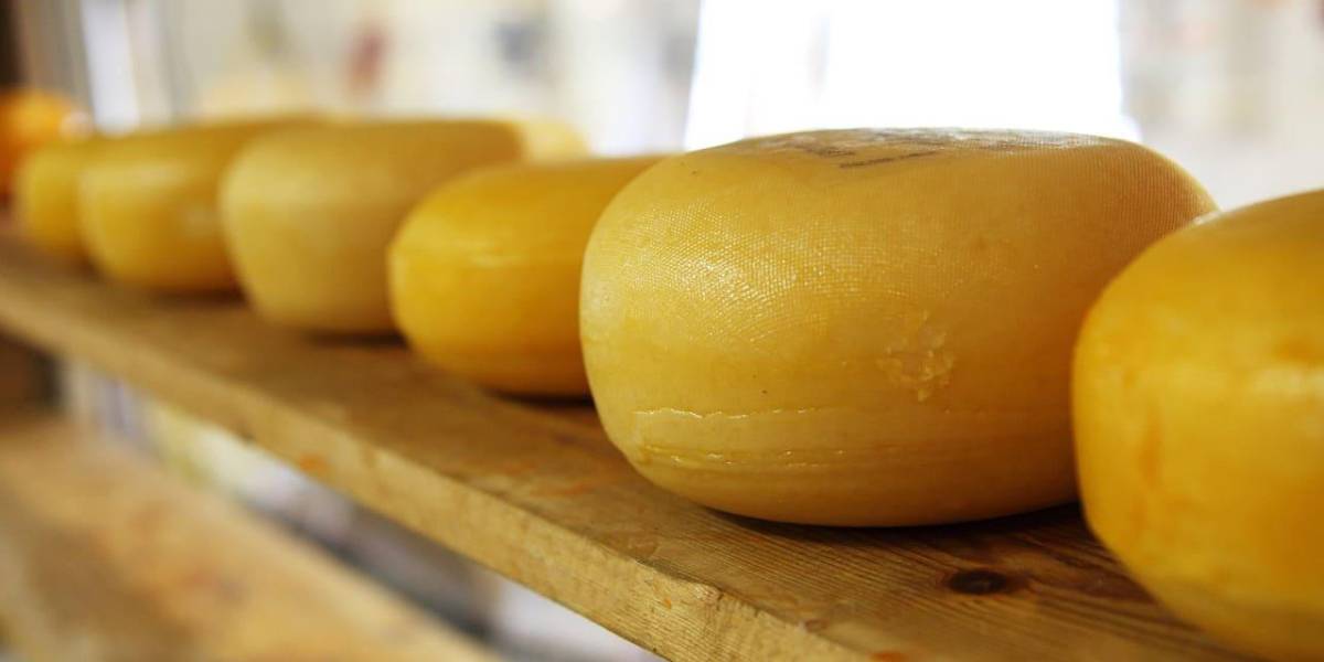 Italia: un empresario muere al ser aplastado por 25 000 quesos