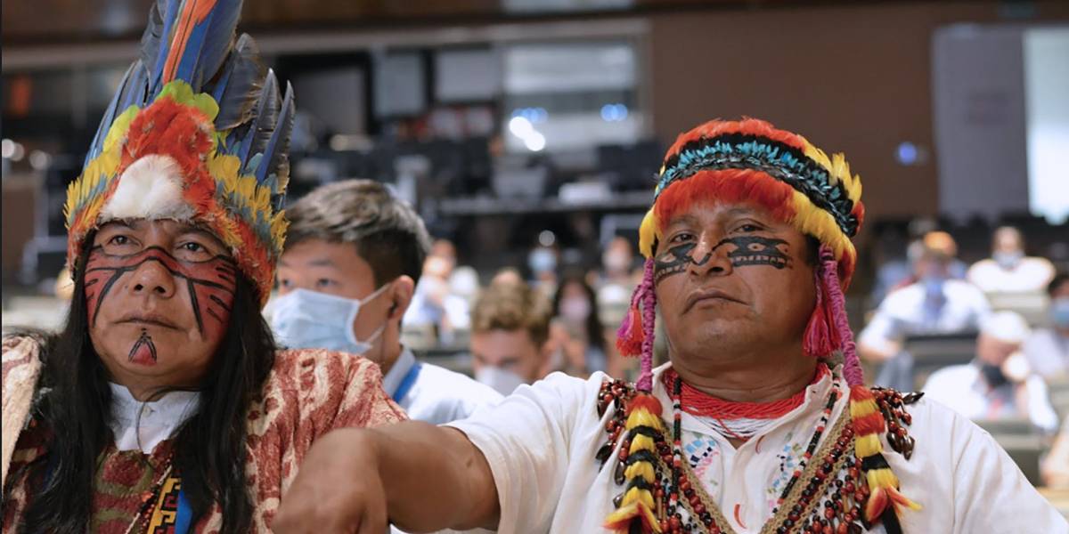 Los pueblos indígenas exigen proteger el 80 % de la Amazonía para 2025