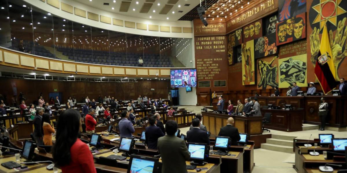 Asamblea Nacional: censura y destitución para los consejeros de participación ciudadana