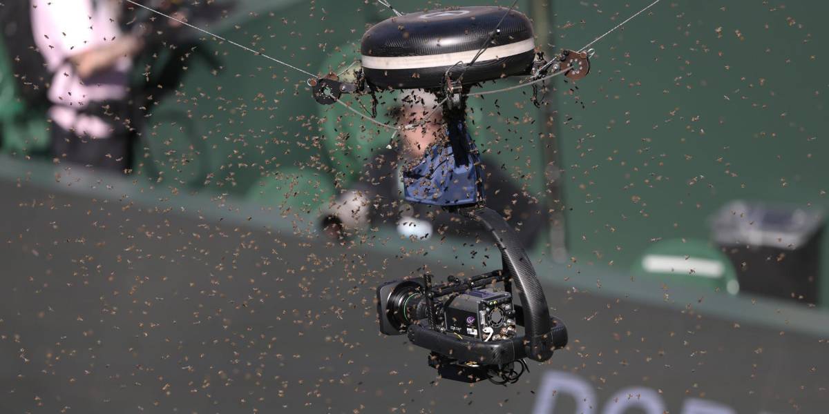 El partido entre Alcaraz y Zverev se suspende por invasión de abejas en Indian Wells