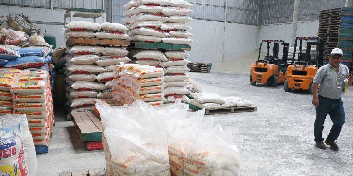 Fenómeno de El Niño: Ecuador importará arroz, pero el Gobierno insiste que su precio no debe subir