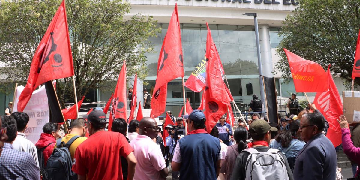 Las Leyes de Solidaridad Nacional e Integridad Pública fueron declaradas inconstitucionales