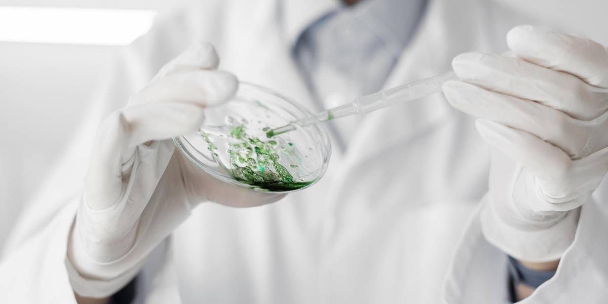 Microplásticos en testículos humanos, un potencial riesgo para la salud reproductiva